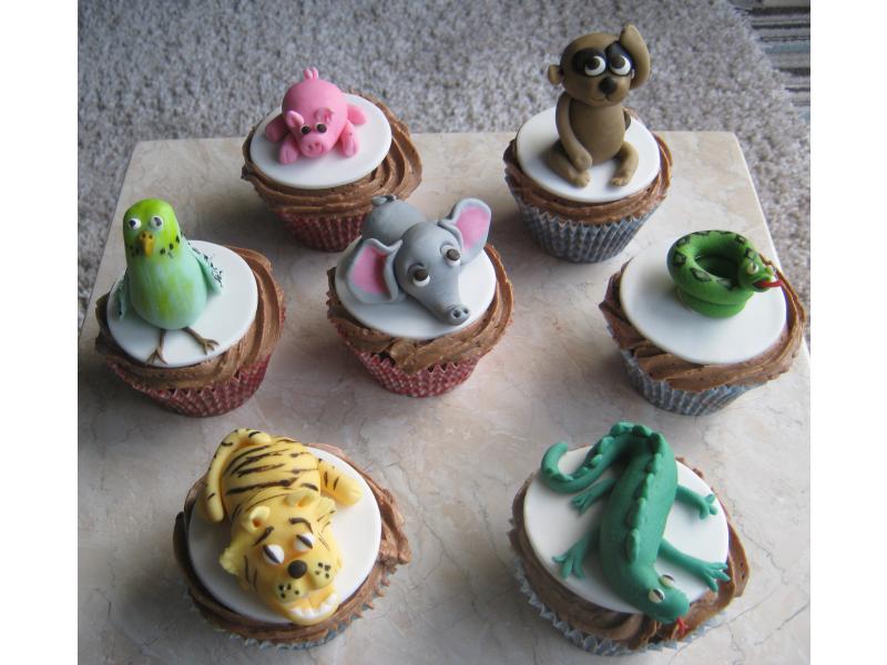 Animal Cupcakes in sponge for Tracey of Fulwood - 8th birthday
