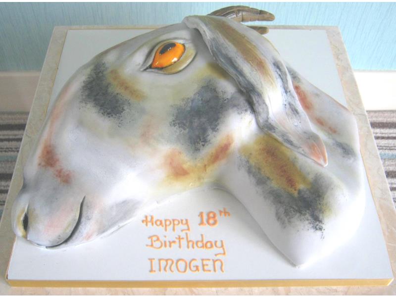 Goat's Head for big goat lover Imogen in Lytham. Made from chocolate sponge for her 18th birthday