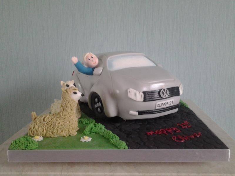 VW Polo with llamas in Madeira for Oliver's 21st birthday in Blackpool