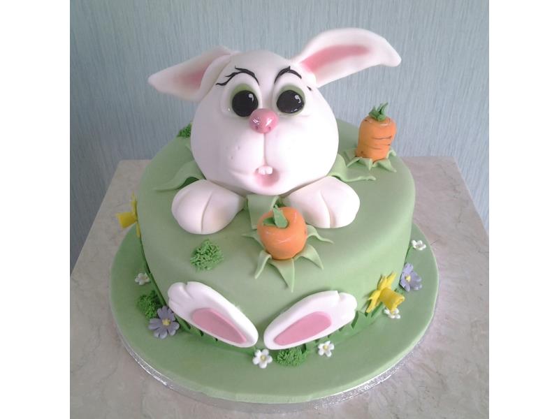Easter Bunny cake for birthdays or Easter; children or adults. For Sue in Thornton