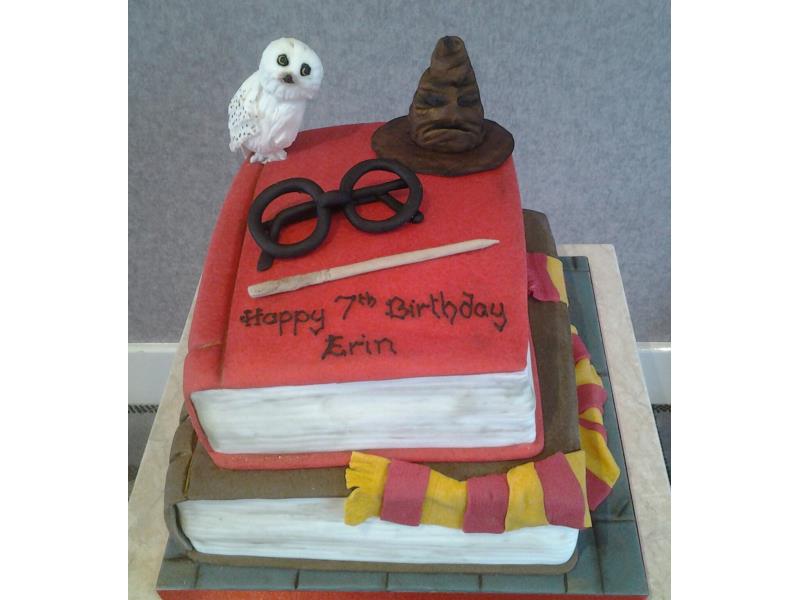 Harry Potter - scarf, books, specs, owl etc. Made from vanilla and chocolate with orange sponges fro Erin in Blackpool.